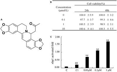 Colitis Is Effectively Ameliorated by (±)-8-Acetonyl-dihydrocoptisine via the XBP1-NF-κB Pathway